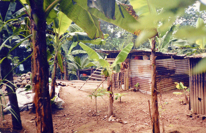 Hortega Village, Costa Rica