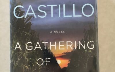 Book Musings: A Gathering of Secrets by Linda Castillo