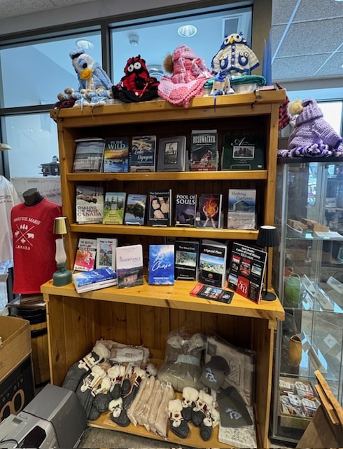 Books at the library